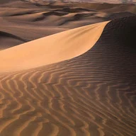 Science Sagesse du Sable